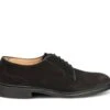 Robert Derby Shoe - Black Suede